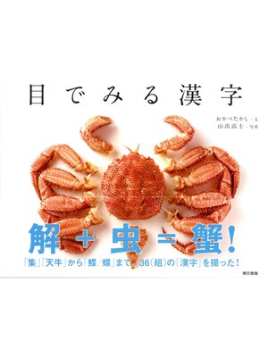 cover image of 目でみる漢字